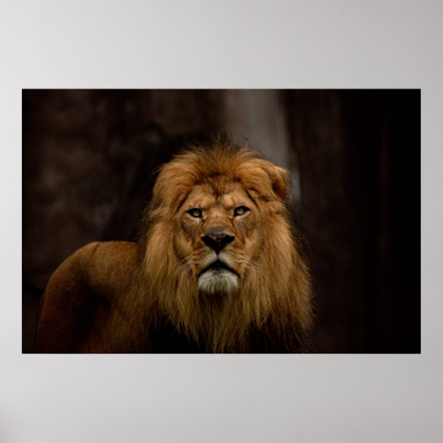 The Stare Poster (Front)