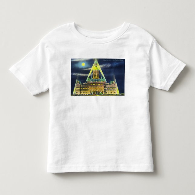 The State Capitol Building at Night Toddler T-shirt (Front)