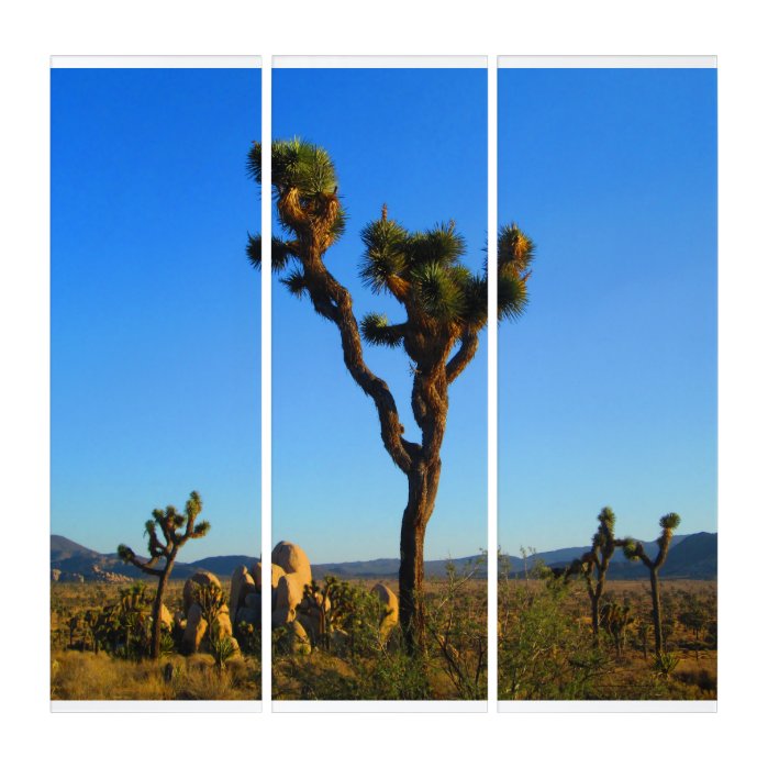The Stately Joshua Tree Triptych