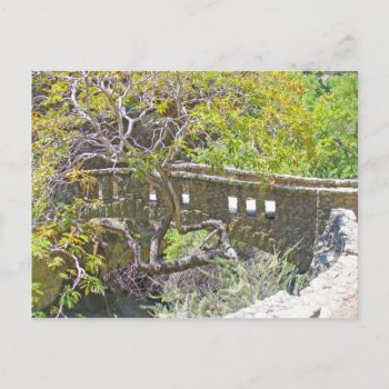 The Stone Bridge Postcard by kingkaoa at Zazzle