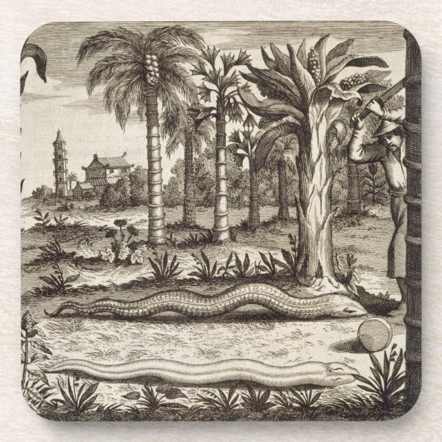 The Stone Snake, from 'China Illustrated' by Athan Drink Coaster (Front)