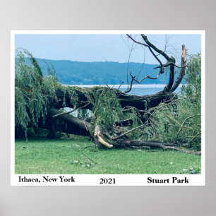 THE STORM STUART PARK 2021 POSTER