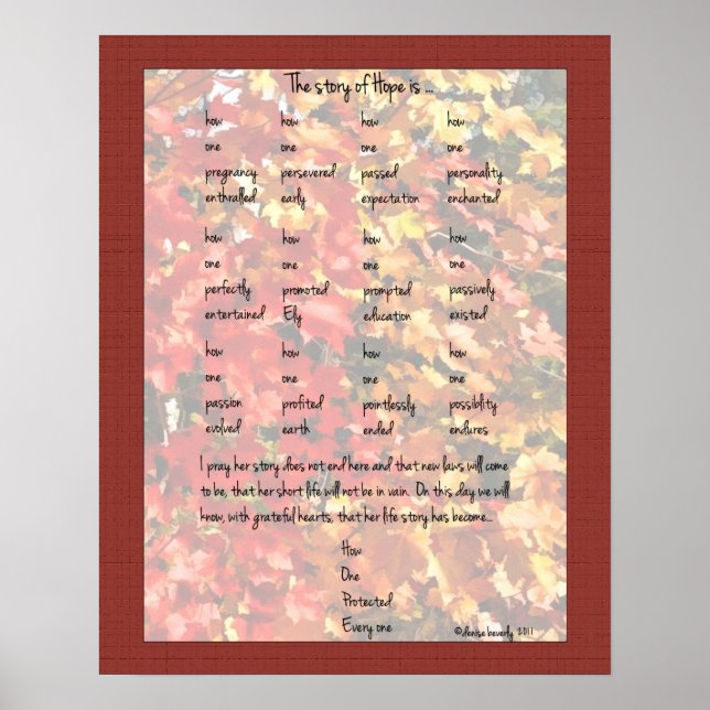 The Story of Hope - denise beverly Poster (Front)