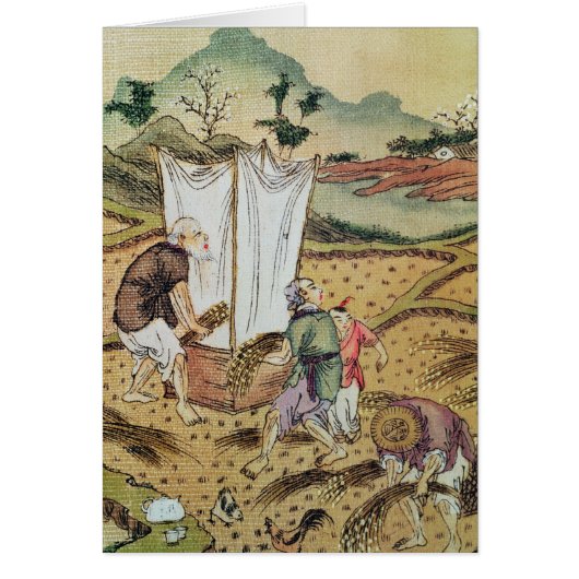 The Story of Rice Cards (Front)