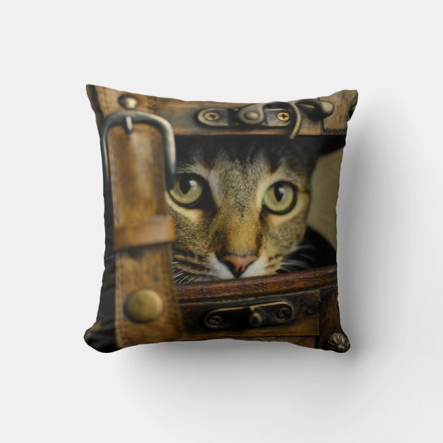 The stowaway throw pillow (Front)