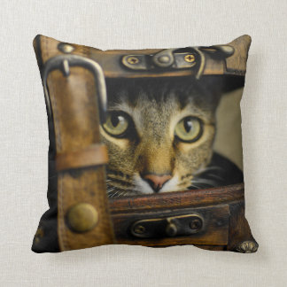 The stowaway throw pillow