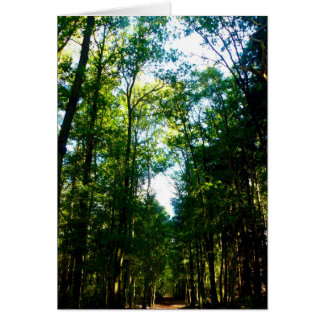 The Straight and Narrow Cards