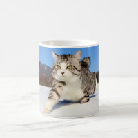 The Stray Cat Named Nyankichi Coffee Mug