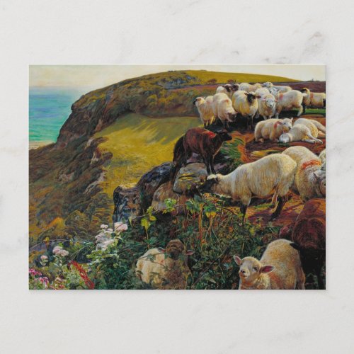 The Strayed Sheep Postcard