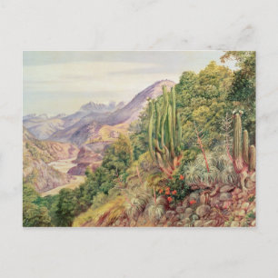 The Streams of Languenas in the Cordellera, Chile Postcard