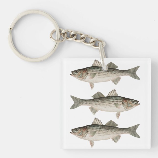 The Striped Bass Fishing Adventure Keychain (Front)