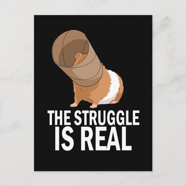 The Struggle is Real Gift Funny Guinea Pig Postcard (Front)
