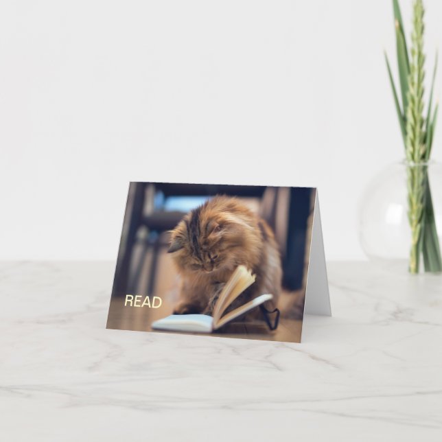 The Studious Cat Note Card (Front)