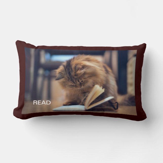 The Studious Cat Throw Pillow (Front)