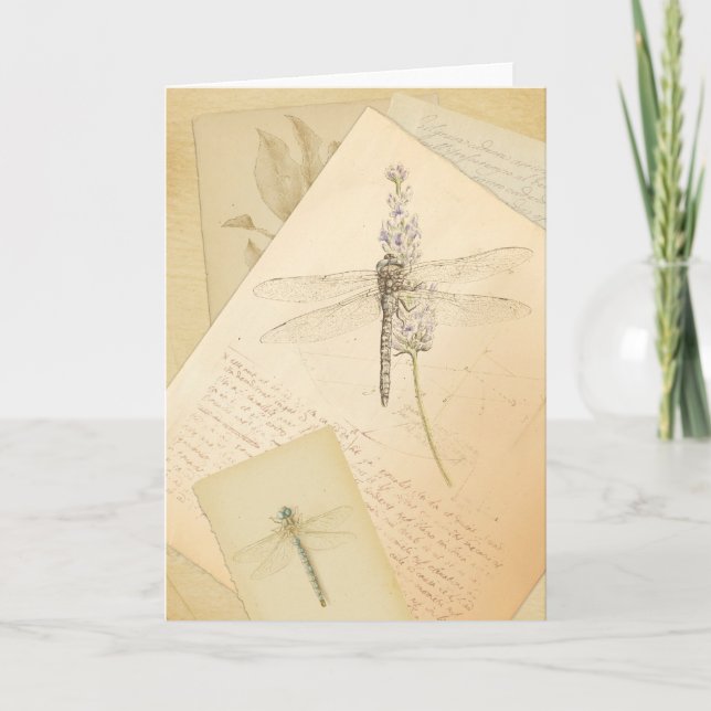 The Study of Dragonflies greeting card (Front)