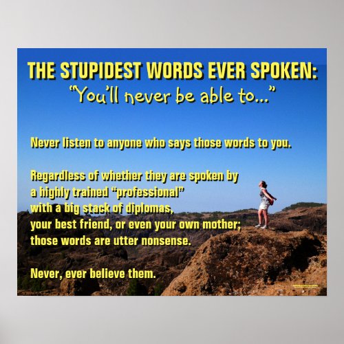 The Stupidest Words Ever Spoken _ Motivational Poster