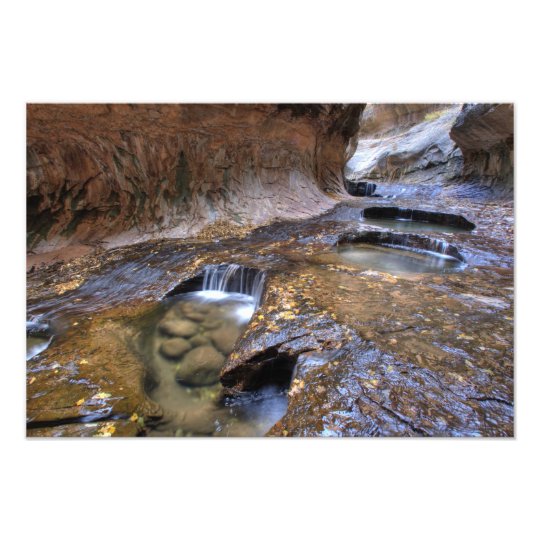 The Subway along the Left Fork of the Virgin 2 Photo Print