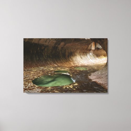 The Subway is a geologic formation of sandstone ca Canvas Print