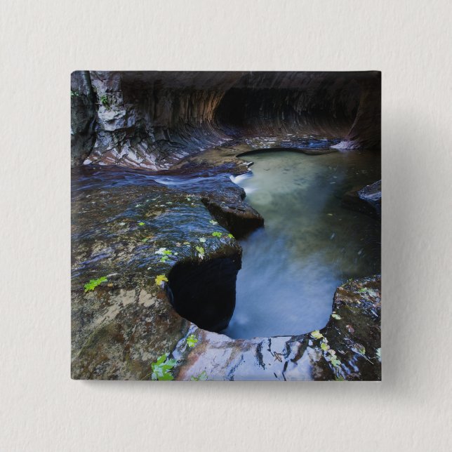 The Subway slot canyon Button (Front)