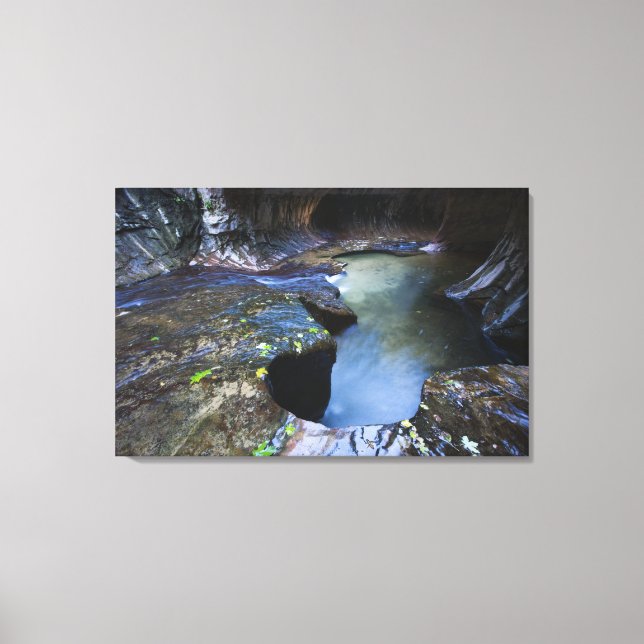 The Subway slot canyon Canvas Print (Front)