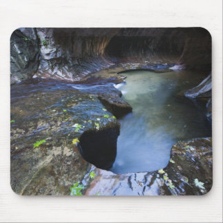 The Subway slot canyon Mouse Pad