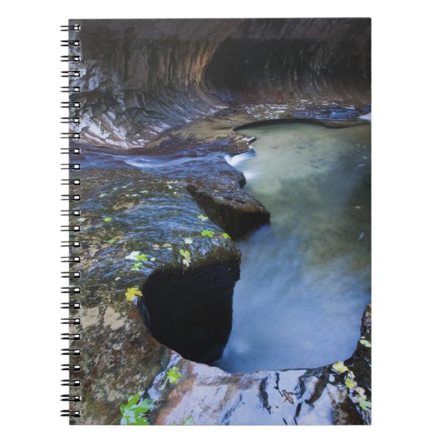 The Subway slot canyon Notebook (Front)