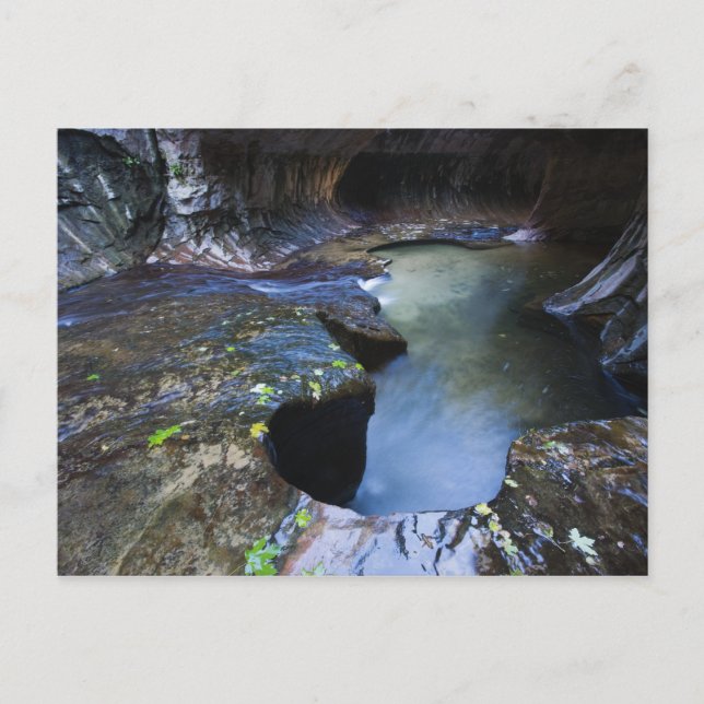 The Subway slot canyon Postcard (Front)