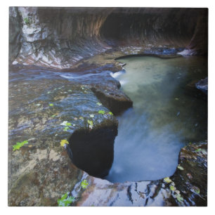 The Subway slot canyon Tile