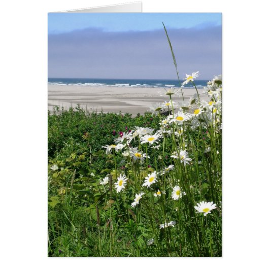 "The Summer Ocean Daisy" Cards (Front)