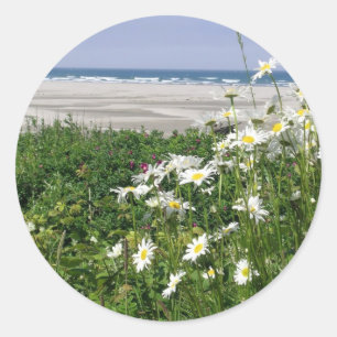 "The Summer Ocean Daisy" Classic Round Sticker