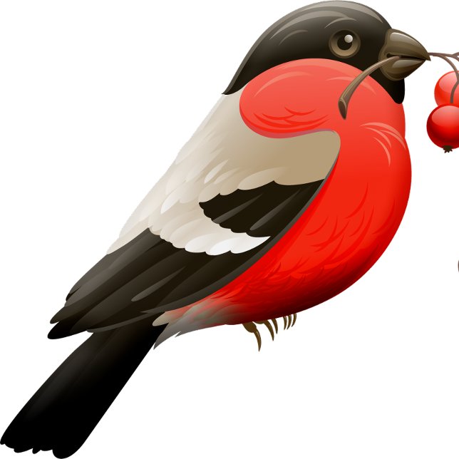 The summer shirt printed with a bird in red, black (Creator Uploaded)