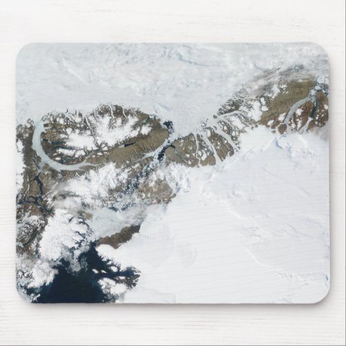 The summer thaw mouse pad
