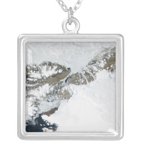 The summer thaw silver plated necklace