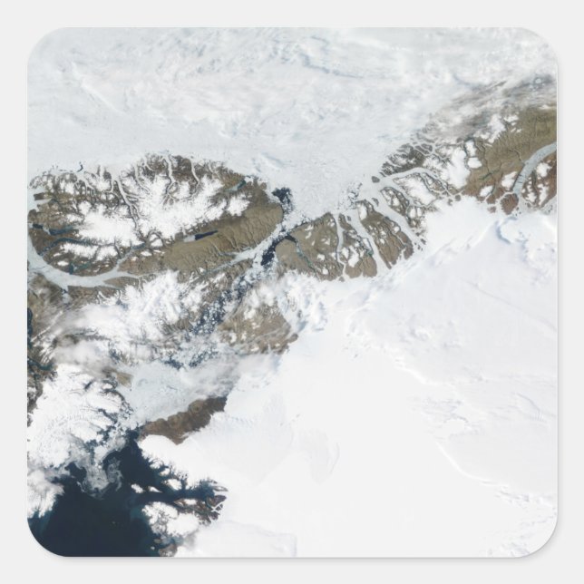 The summer thaw square sticker (Front)