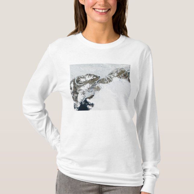 The summer thaw T-Shirt (Front)