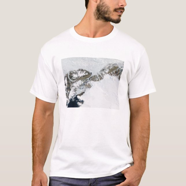 The summer thaw T-Shirt (Front)