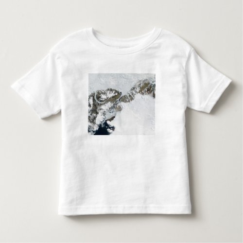 The summer thaw toddler t_shirt