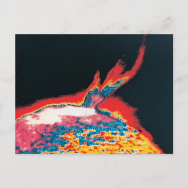 The Sun 5 Postcard (Front)