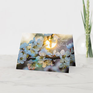 The Sun And Japanese Apricot Flowers Letterpress Thank You Card
