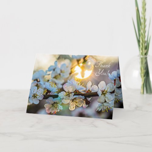 The Sun And Japanese Apricot Flowers Thank You Card