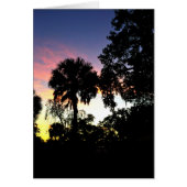 The sun is rising (Front)