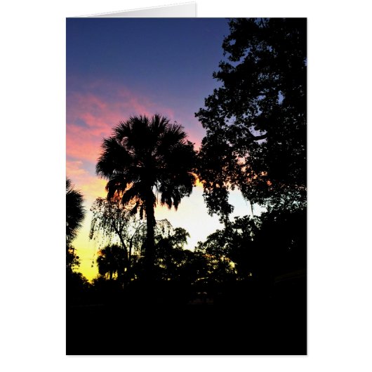 The sun is rising (Front)