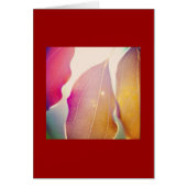 The Sun Shines Through the Leaves (Front)