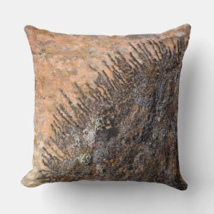 The Sun Talking Canyons, New Mexico Throw Pillow