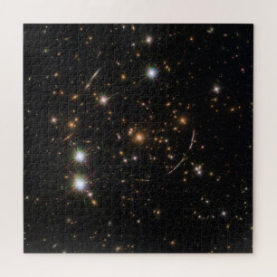 The Sunburst Arc In A Massive Galaxy Cluster Jigsaw Puzzle