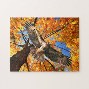 "The Sunday Hawk" Puzzle