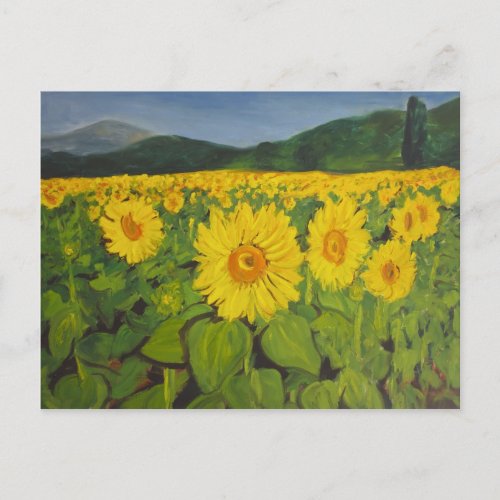 The Sunflower Field Postcard