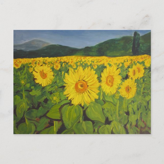 The Sunflower Field Postcard (Front)