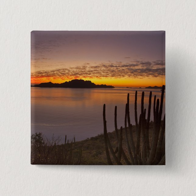 The sunrise over Isla Danzante in the Gulf of 2 Pinback Button (Front)
