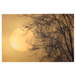 The sunrise through the Fog in Monterey, Ca Metal Print